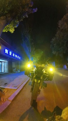 Benelli TRK552 550 cc - фото 9