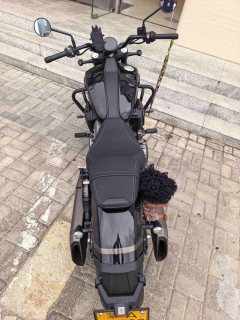 Benda 500 - фото 6