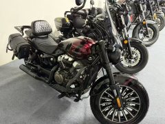 Benda 250 - фото 4