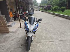 Xinshiji XSJ200 - фото 2