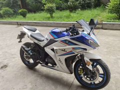 Xinshiji XSJ200 - фото 3