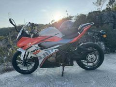 QJMOTOR 250 - фото 1