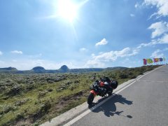 QJMOTOR 500S - фото 1