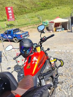 QJMOTOR 500S - фото 5