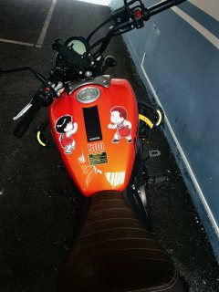 QJMOTOR 500S - фото 6