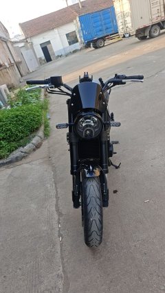 Benelli Lion Cub Leoncino 500 - фото 2