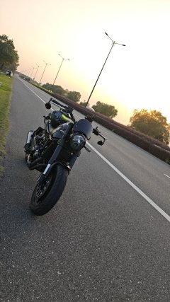 Benelli Lion Cub Leoncino 500 - фото 4