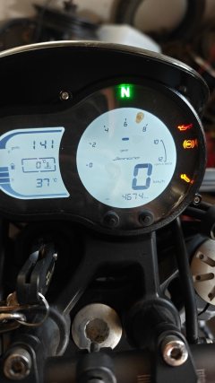 Benelli Lion Cub Leoncino 500 - фото 6
