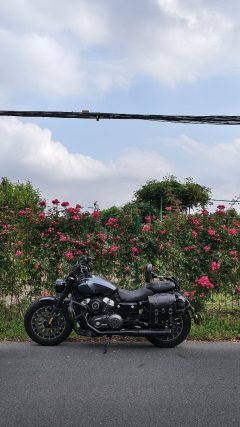 Benda 250 - фото 1