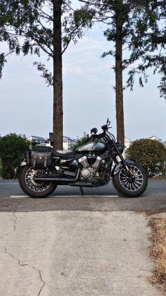 Benda 250 - фото 6