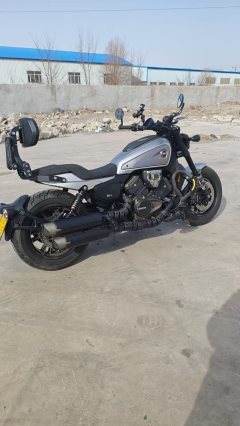 QJMOTOR 600 560 cc - фото 2