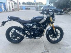 Triumph Scrambler 400 X - фото 3