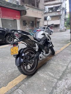 Lifan KPS250 - фото 6