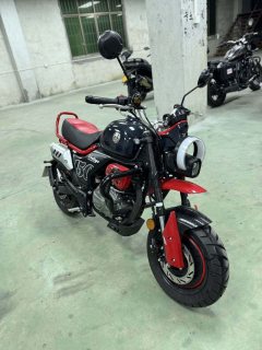 Zongshen Little Bear 150 cc - фото 3