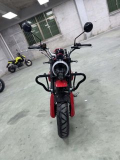 Zongshen Little Bear 150 cc - фото 5