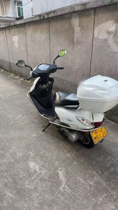 QJMOTOR QJ110T-8 - фото 1