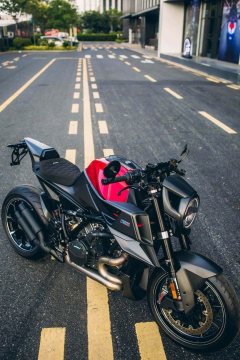 Bosu 1300R - фото 1