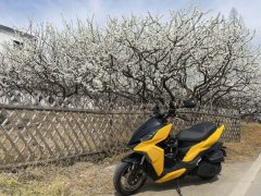 SYM DRG 158 cc - фото 2