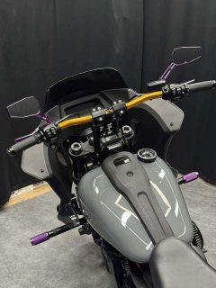 Harley-Davidson Low Rider S 1923 cc - фото 4