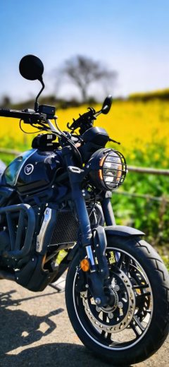 Voge 300AC - фото 4