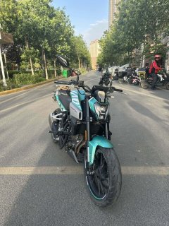 Kayo Cobra 321R 320 cc - фото 2