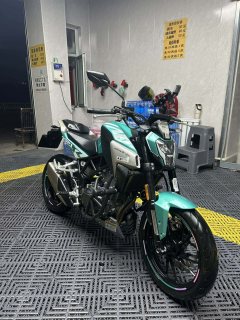 Kayo Cobra 321R 320 cc - фото 5