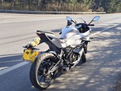 QJMOTOR SRK 250 - фото 2
