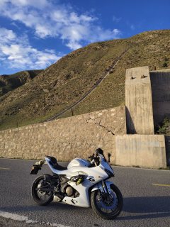 QJMOTOR SRK 250 - фото 3