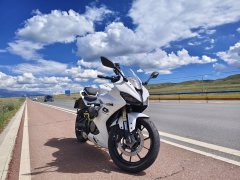 QJMOTOR SRK 250 - фото 4