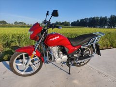 Haojue DM125 - фото 6