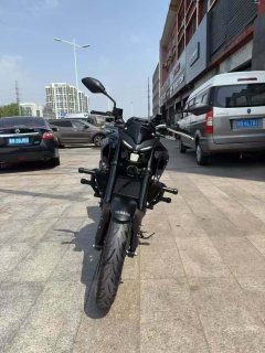 Yamaha MT-03 320 cc - фото 1