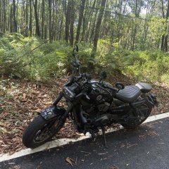 Benelli Harun 402 400 cc - фото 2