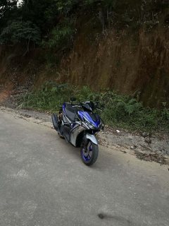 Yamaha AEROSPORTS X 155 cc - фото 2