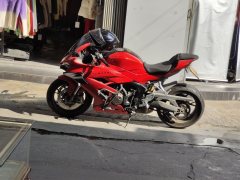 QJMOTOR 600 680 cc - фото 2