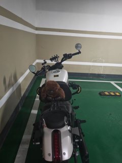 QJMOTOR Flash 250 - фото 3