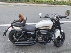 QJMOTOR Flash 250 - фото 4