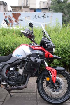 Cyclone RX500 - фото 8