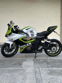 QJMOTOR SRK 250 - фото 4