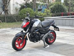 CFMOTO ST Baboon 125 cc - фото 7