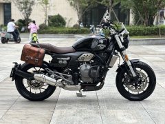 Cyclone RE600 560 cc - фото 2