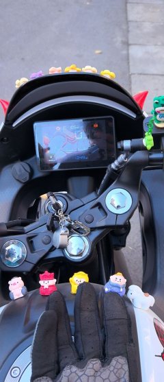 QJMOTOR 150 cc - фото 4