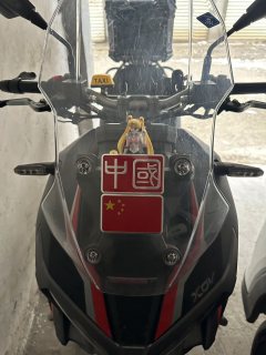 Longjia XDV 250Si - фото 2