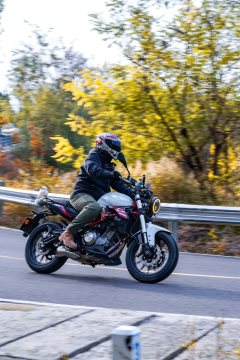 Benelli TNT 300 / BN 302S - фото 1