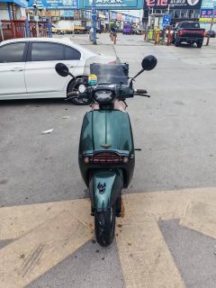 Weiduoliya Sixties 300i - фото 1