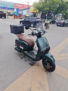 Weiduoliya Sixties 300i - фото 2