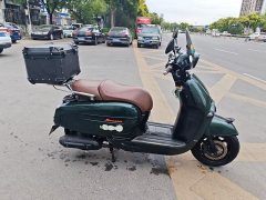 Weiduoliya Sixties 300i - фото 3