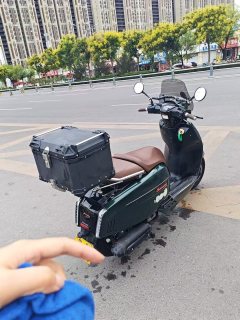 Weiduoliya Sixties 300i - фото 4