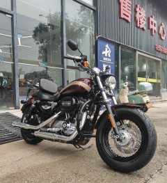 Harley-Davidson 1200 Custom - фото 1