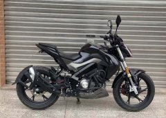 Benelli Little Xunlong BN150S - фото 4