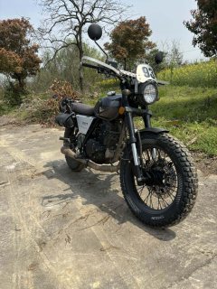 Qingqi U-Knight Bigfoot Crawler 250 cc - фото 1